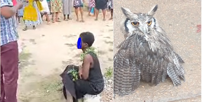 Bird Allegedly Turns Into Human In Broad Daylight At Gomoa Mampong