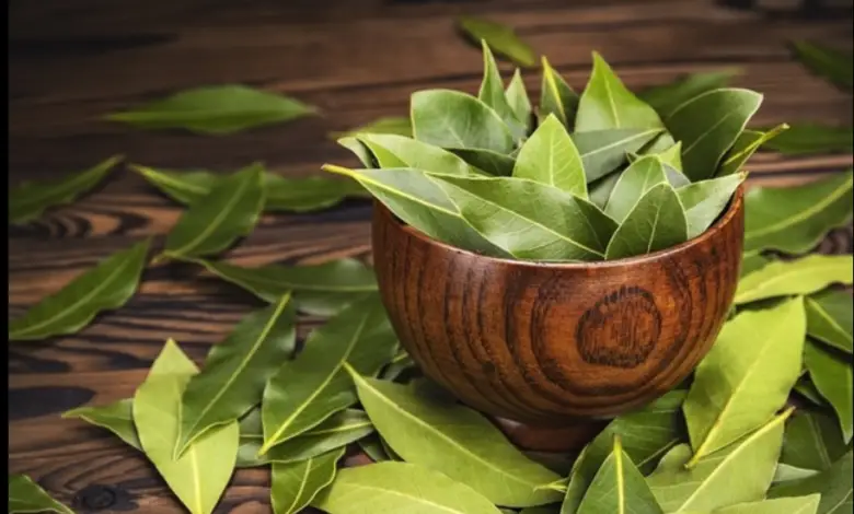 Effective Benefits Of Drinking One Glass Of Bay Leaf Water On An Empty Stomach