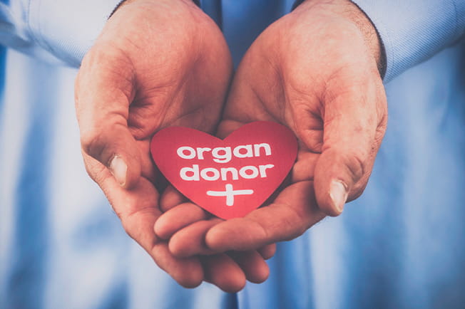 organ donor featured